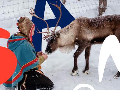 Davvin 1 Nettstudier