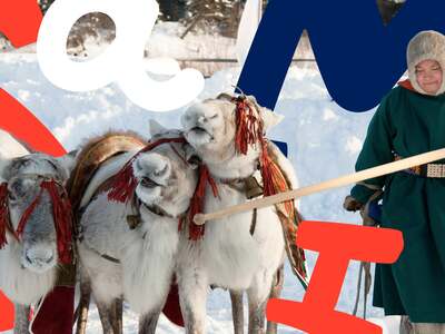 Davvin 2 - Nettstudier